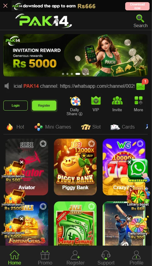 Pak14 Game Interface